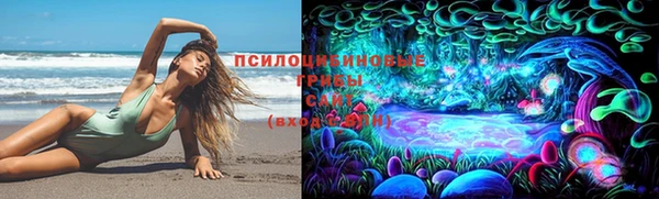 гашиш Аркадак