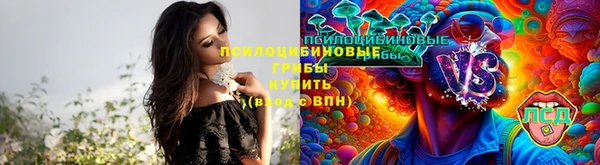 MDMA Premium VHQ Арсеньев