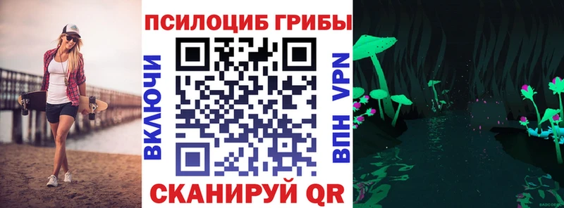 закладка  Печоры  Псилоцибиновые грибы Cubensis 